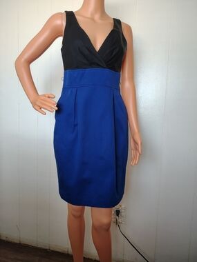 Express Black & Royal Blue V-Neck Colorblock Sheath Dress